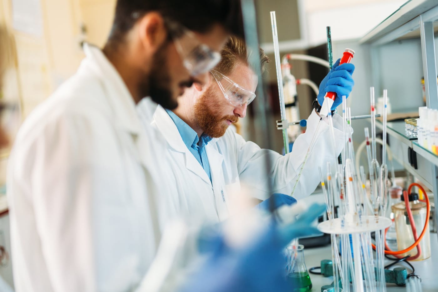 Researchers in the lab